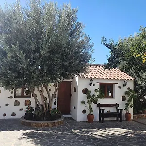 https://la-gallania-de-papa-pepe.in-canary-islands.com